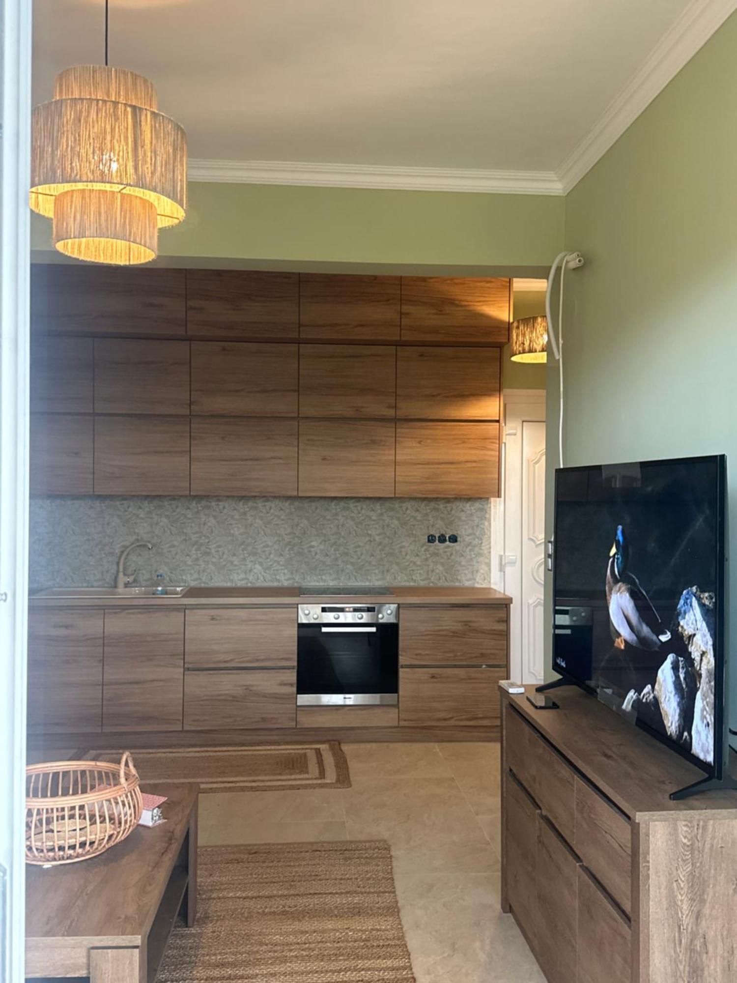 Olivia -Ελιά Apartment PalaiónTsiflíkion Екстериор снимка