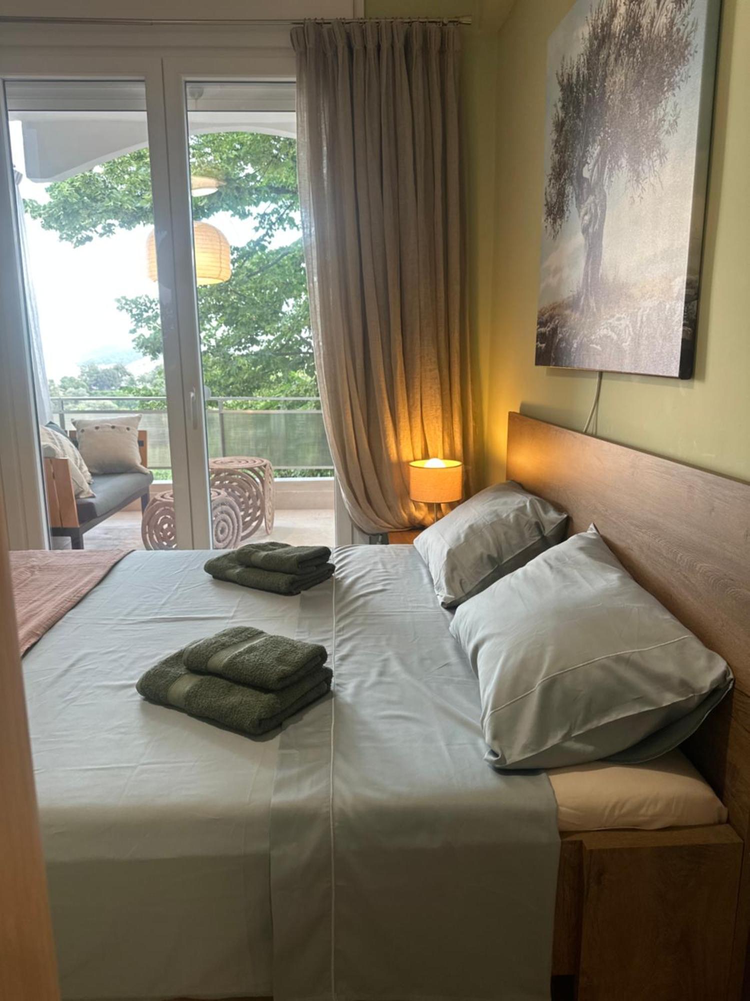 Olivia -Ελιά Apartment PalaiónTsiflíkion Екстериор снимка